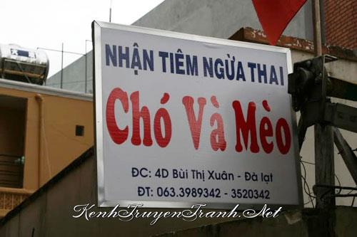 Kênh Truyện Tranh