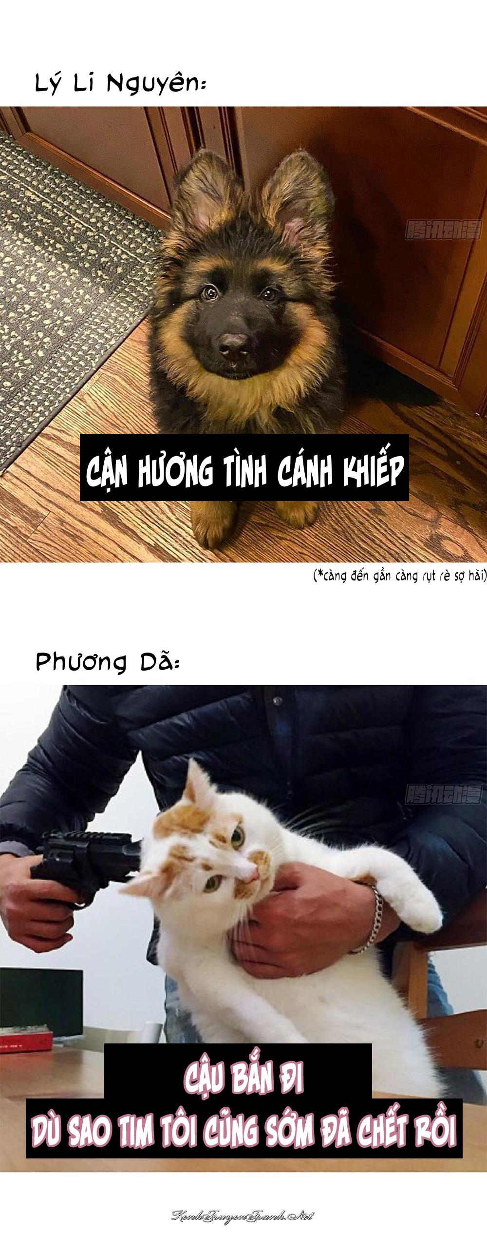 Kênh Truyện Tranh